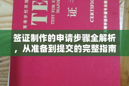 镇巴签证制作的申请步骤全解析，从准备到提交的完整指南
