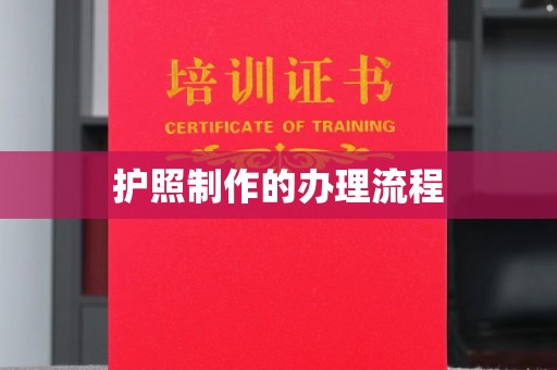 镇巴护照制作的办理流程