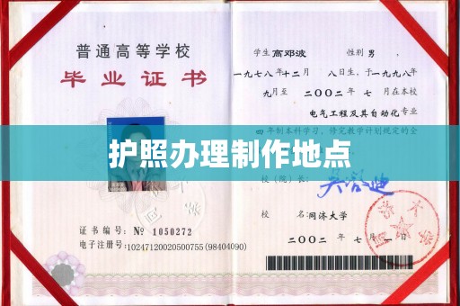 镇巴护照办理制作地点