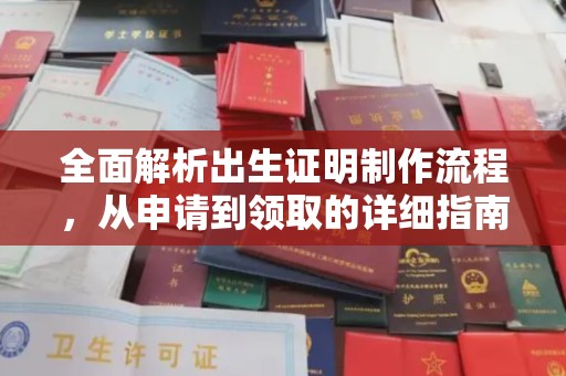 镇巴全面解析出生证明制作流程，从申请到领取的详细指南