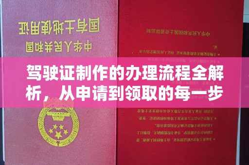 镇巴驾驶证制作的办理流程全解析，从申请到领取的每一步