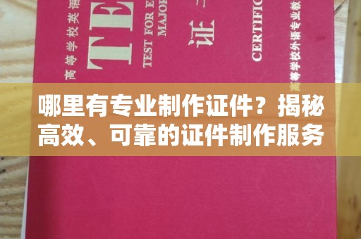 镇巴哪里有专业制作证件？揭秘高效、可靠的证件制作服务