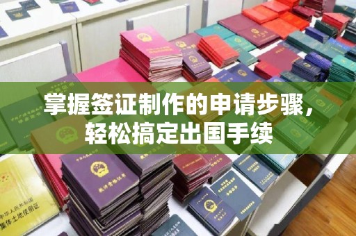 镇巴掌握签证制作的申请步骤，轻松搞定出国手续