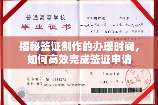 镇巴揭秘签证制作的办理时间，如何高效完成签证申请