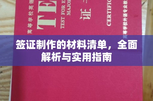 镇巴签证制作的材料清单，全面解析与实用指南