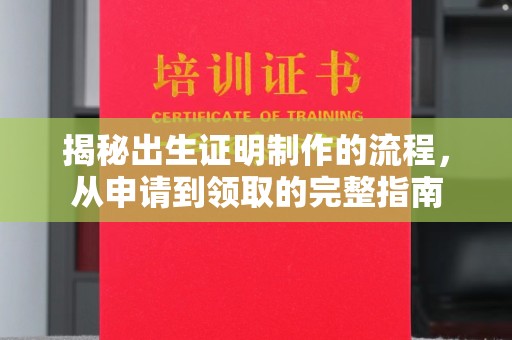 镇巴揭秘出生证明制作的流程，从申请到领取的完整指南