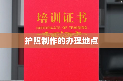 镇巴护照制作的办理地点