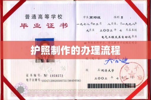 镇巴护照制作的办理流程