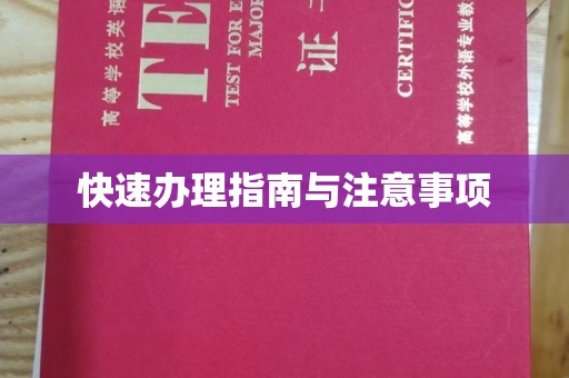 镇巴快速办理指南与注意事项